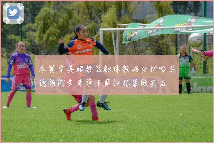 本赛季英超禁区触球数据分析哈兰德领衔多库萨卡萨拉赫紧随其后