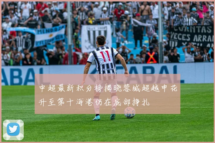中超最新积分榜揭晓蓉城超越申花升至第十海港仍在底部挣扎