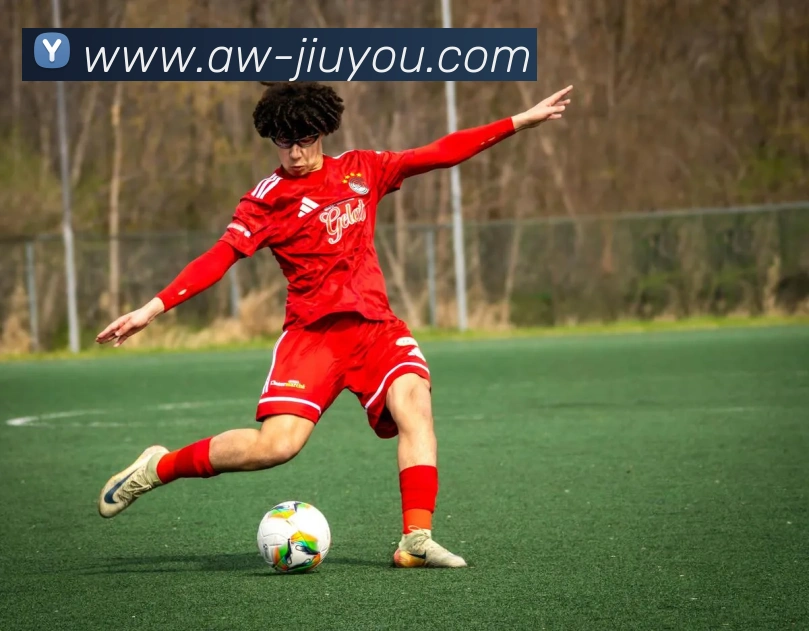 九游体育平台生态图